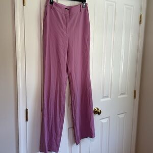 BCBGMaxAzria Women's Straight Leg Functional Pocket
Zipper Pants “Grape” Size 10